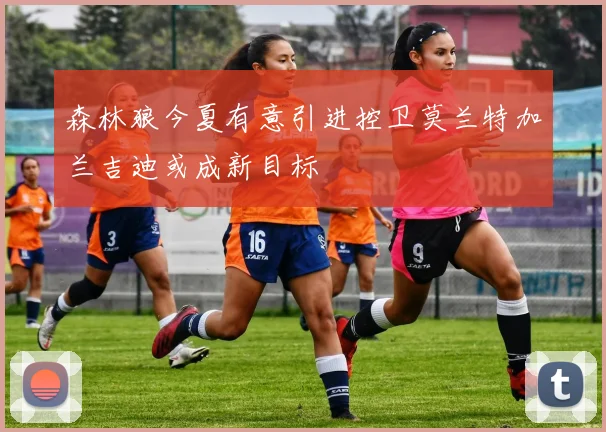 森林狼今夏有意引进控卫莫兰特加兰吉迪或成新目标